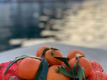 L'un des trésors de notre magnifique Corse, celui qui vous laisse un doux parfum sur les mains après l'avoir consommé… ☺️🍊

Nous nous approchons...